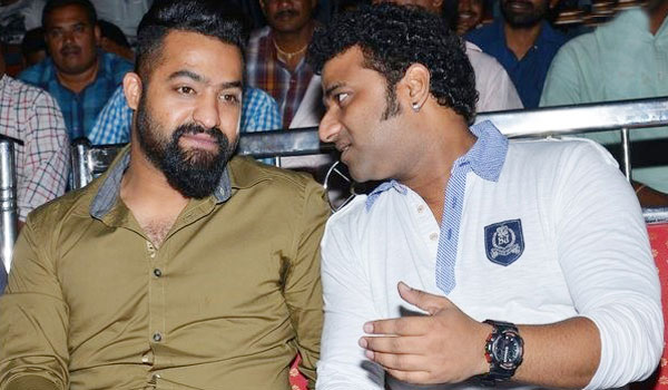 jr ntr,sukumar,sankranthi race,nannaku prematho vs dictatro,young tiger ntr,devisri prasad  ఫ్లాష్ న్యూస్: దేవి సపోర్ట్‌తో ఎన్టీఆర్ వస్తున్నాడు! 